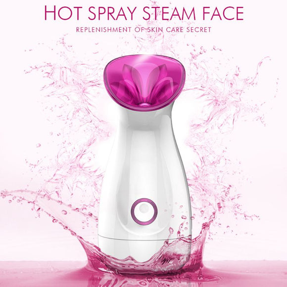 Ion Beauty Facial Steamer